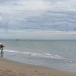 My Resort Huahin By Vas