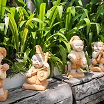 Chomsin Hua Hin ชมสินธุ์ หัวหิน