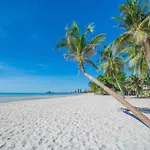 350 Meter Beach , Center Of The City