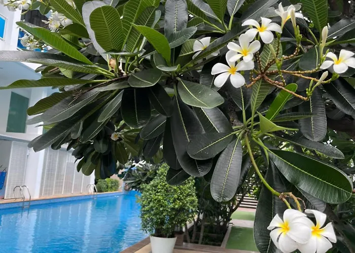 My Resort Hua Hin A206