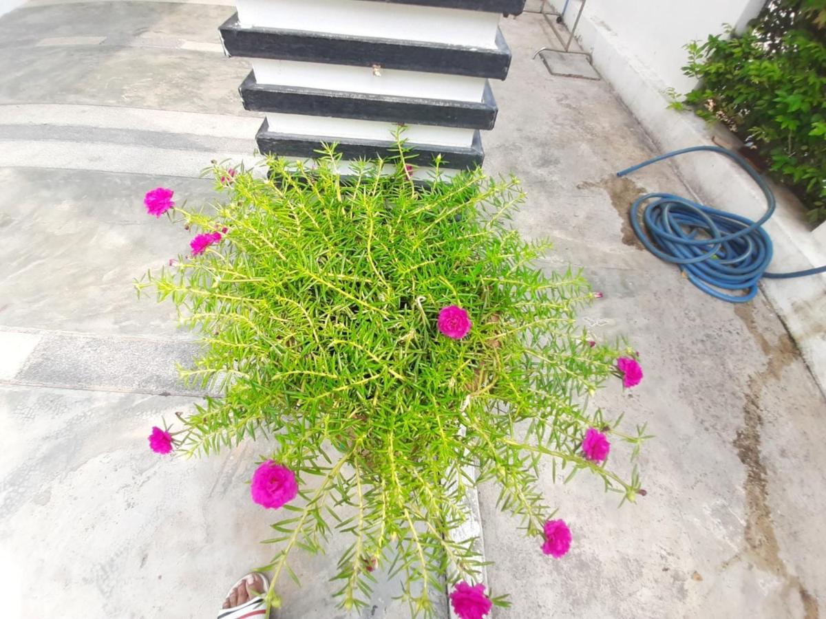 บ้านพาขวัญ พูลวิลล่า - 2 ห้องนอน * Hua Hin