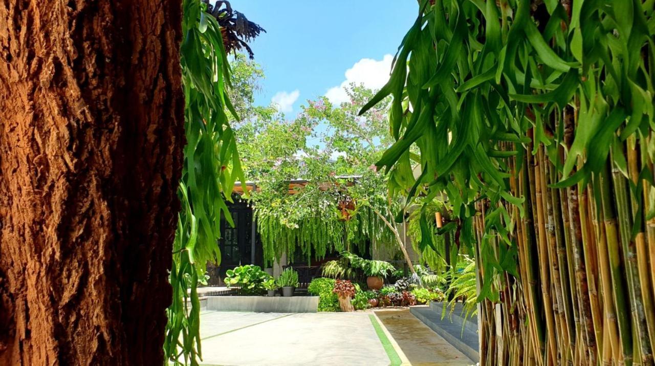 Amara Resort
