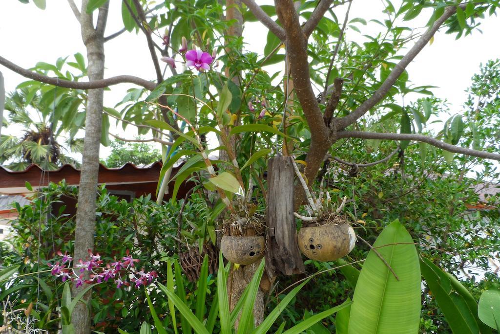 Baan Sabaaidee - Adult Friendly 3*