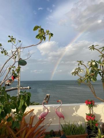 Pierview Herberg HHQ