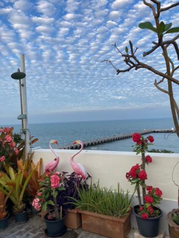 Pierview Herberg