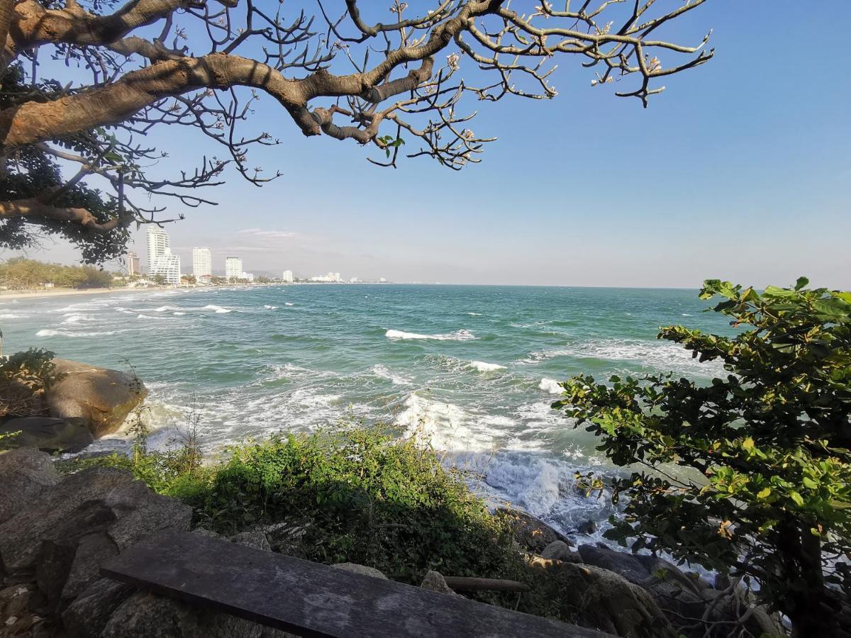 Apartment Cicada Bed Sea View Beachfront *