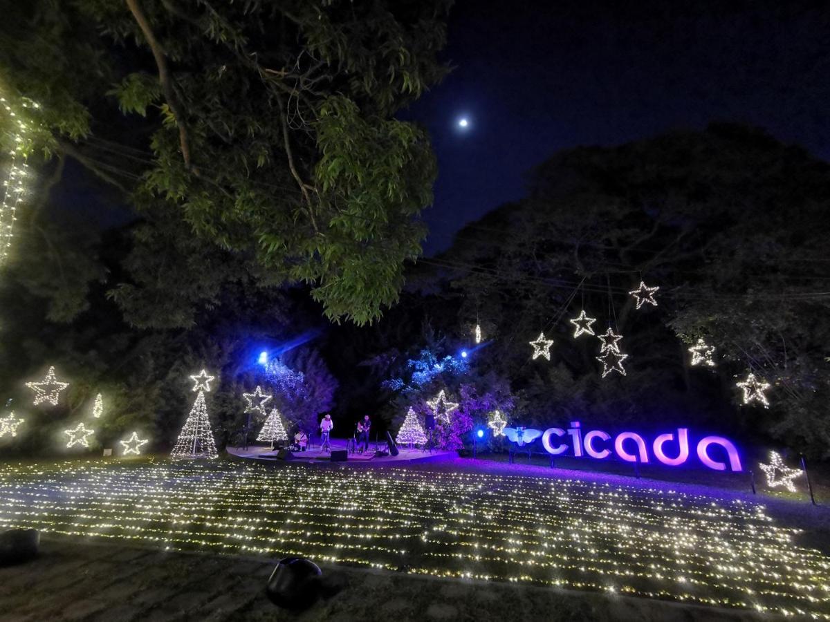 Apartment Cicada Bed Sea View Beachfront *