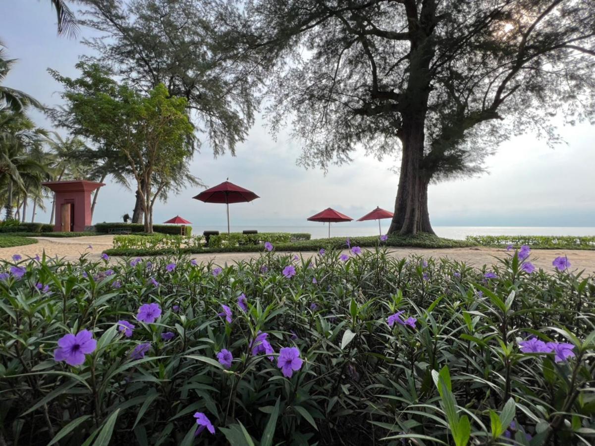 Apartment Cicada Bed Sea View Beachfront *