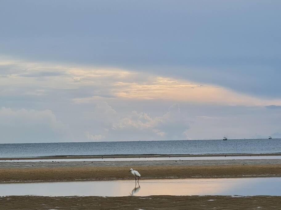 1 Bedroom Pool View Near Beach, Cicada Hua Hin