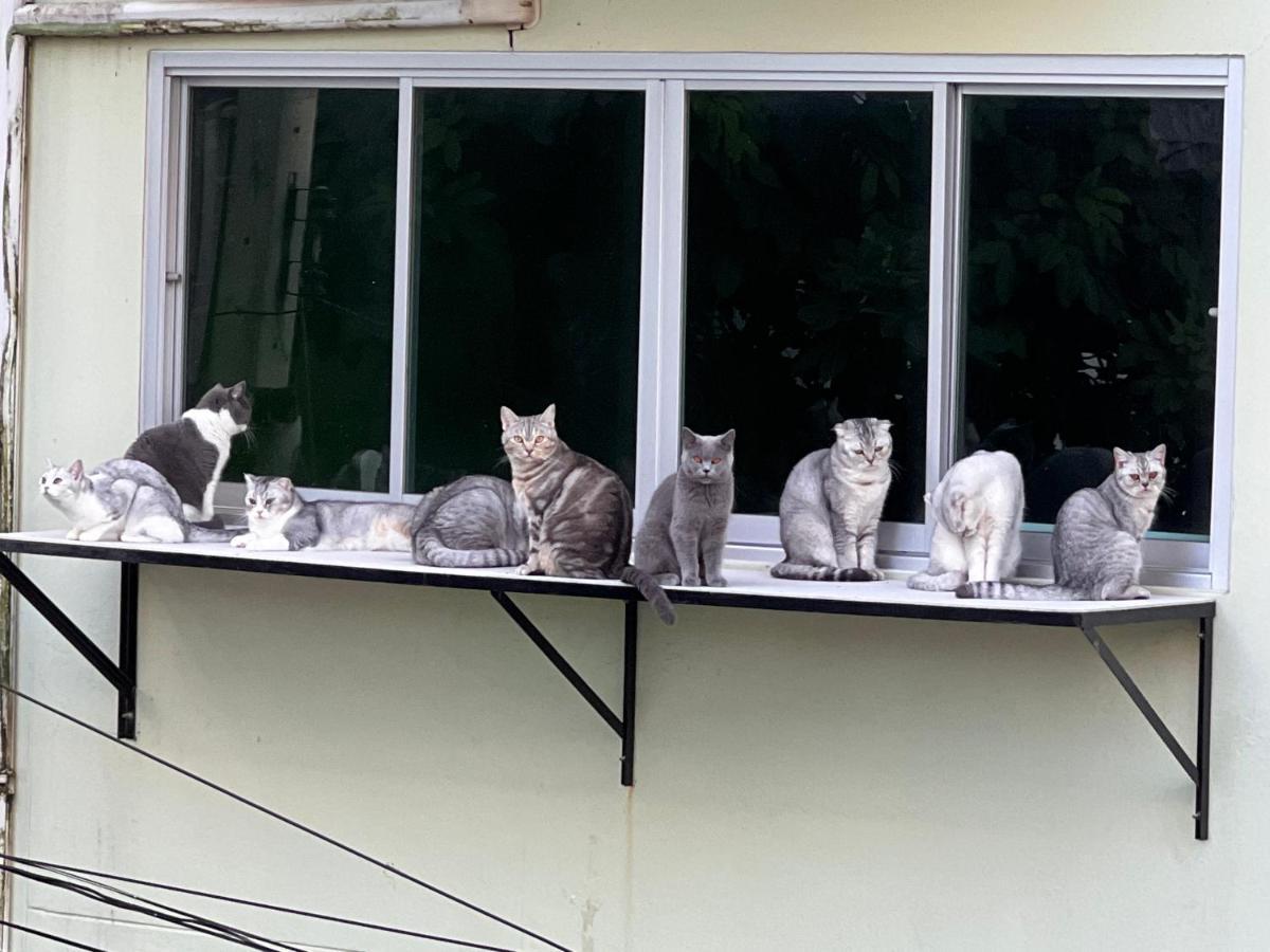 Baan Nilawan