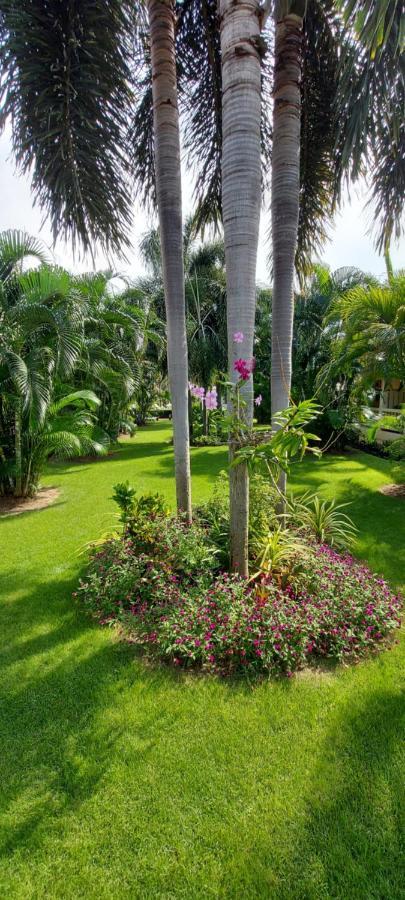 Apartment Baan Victoria Paradise
