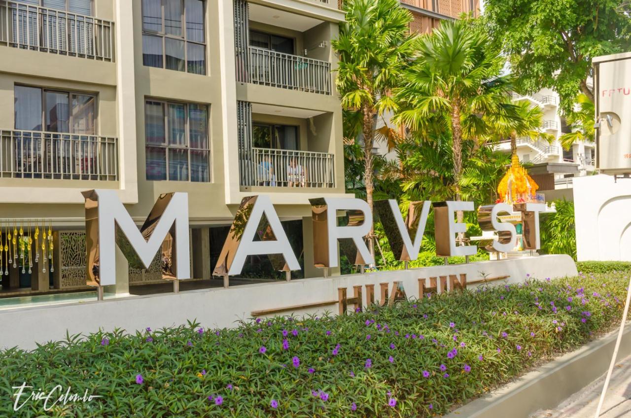 Marvest 1 Hua Hin