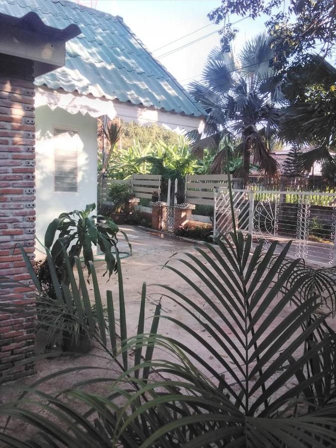 Next To The House