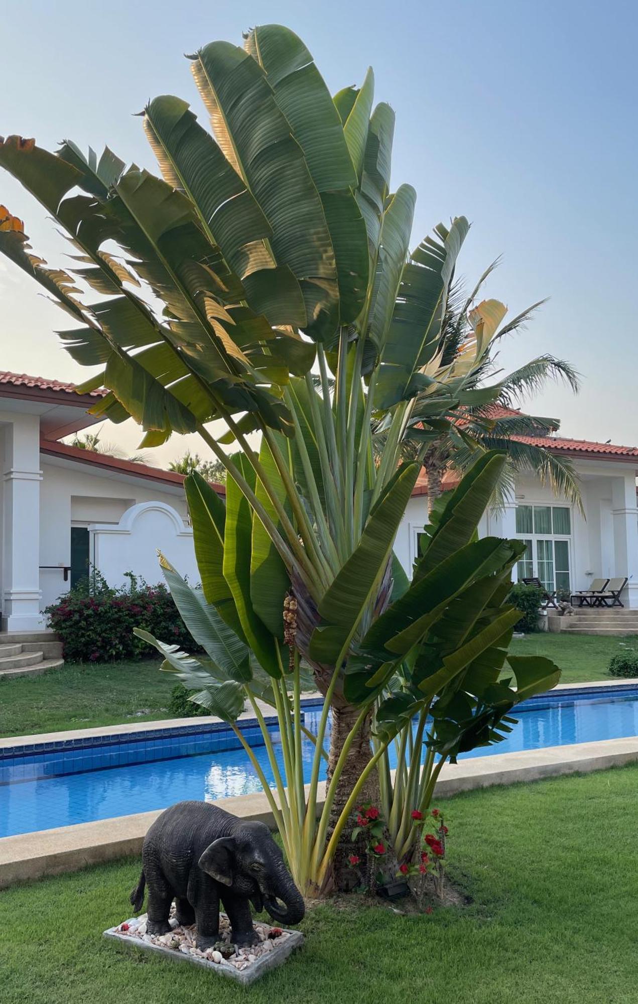 Villa Bougainvillea Hua Hin
