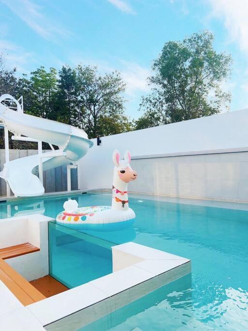 Balinese Pool *