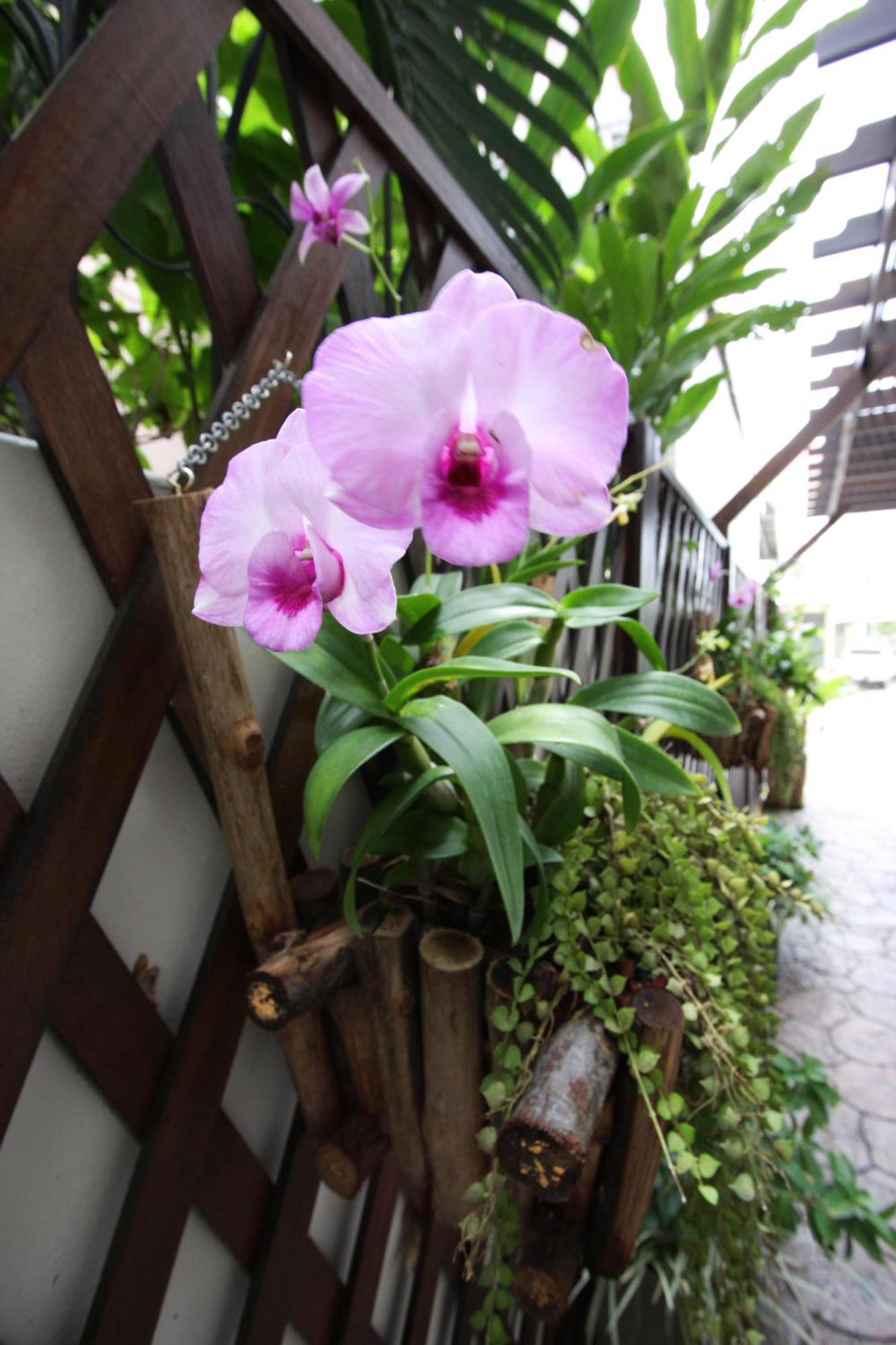 Inn Chaba Place Hua Hin