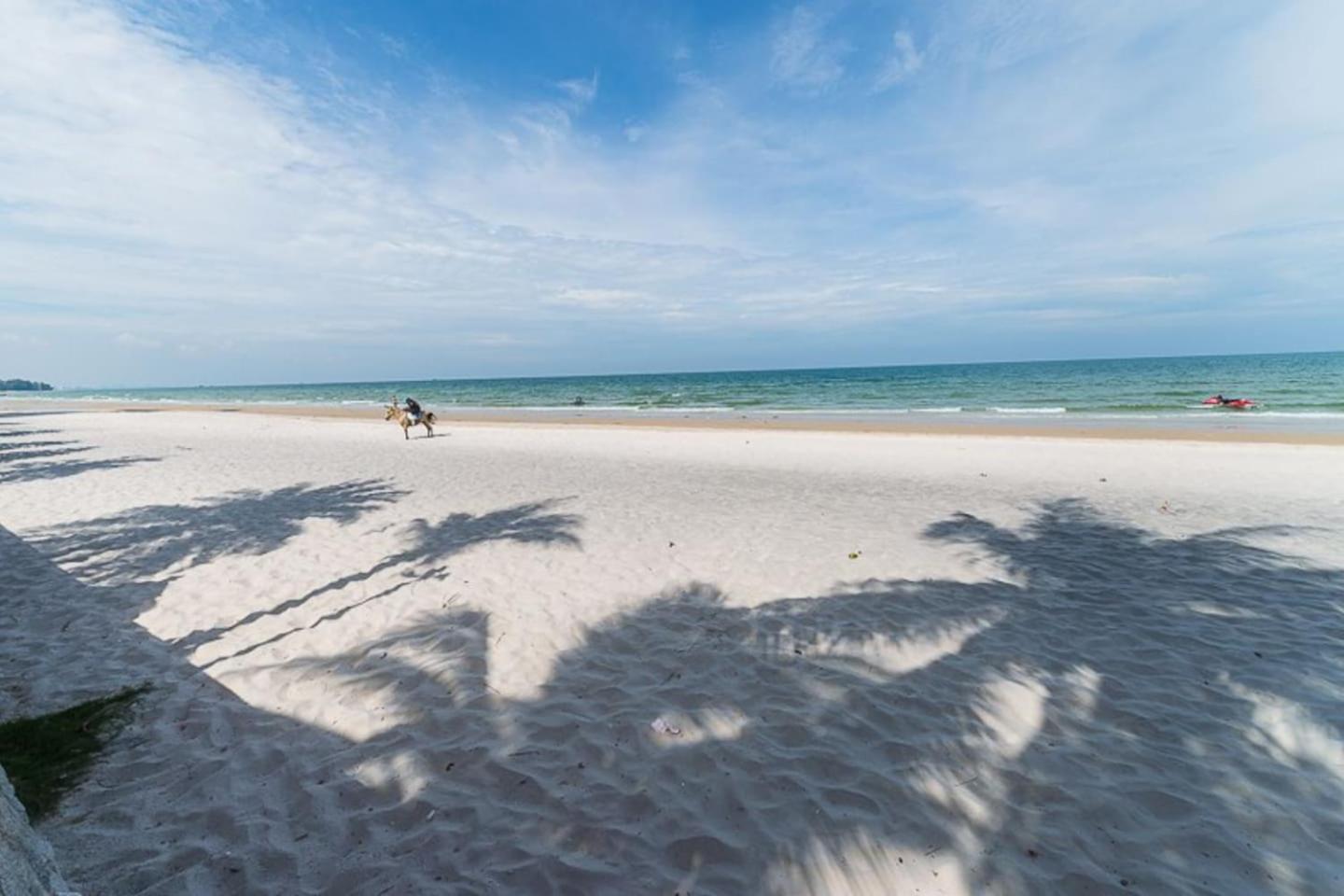 Căn hộ Marrakesh 4bedrooms With Seaview 248 *