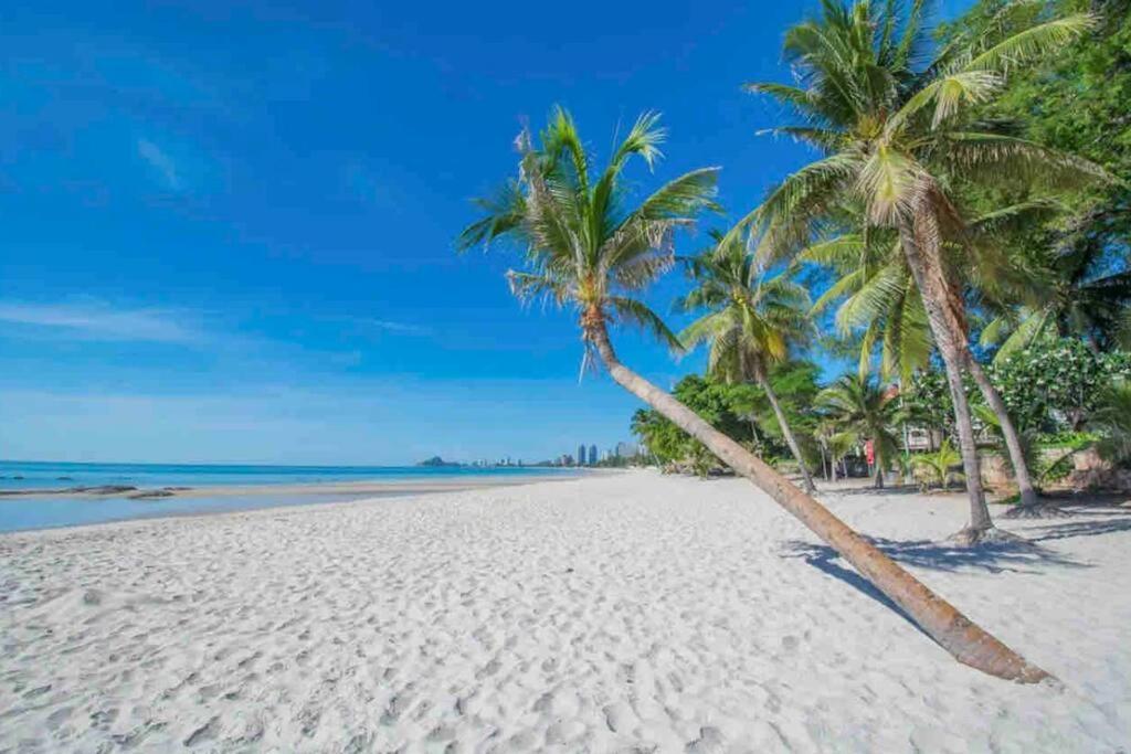 Beachside 500m From Shore *