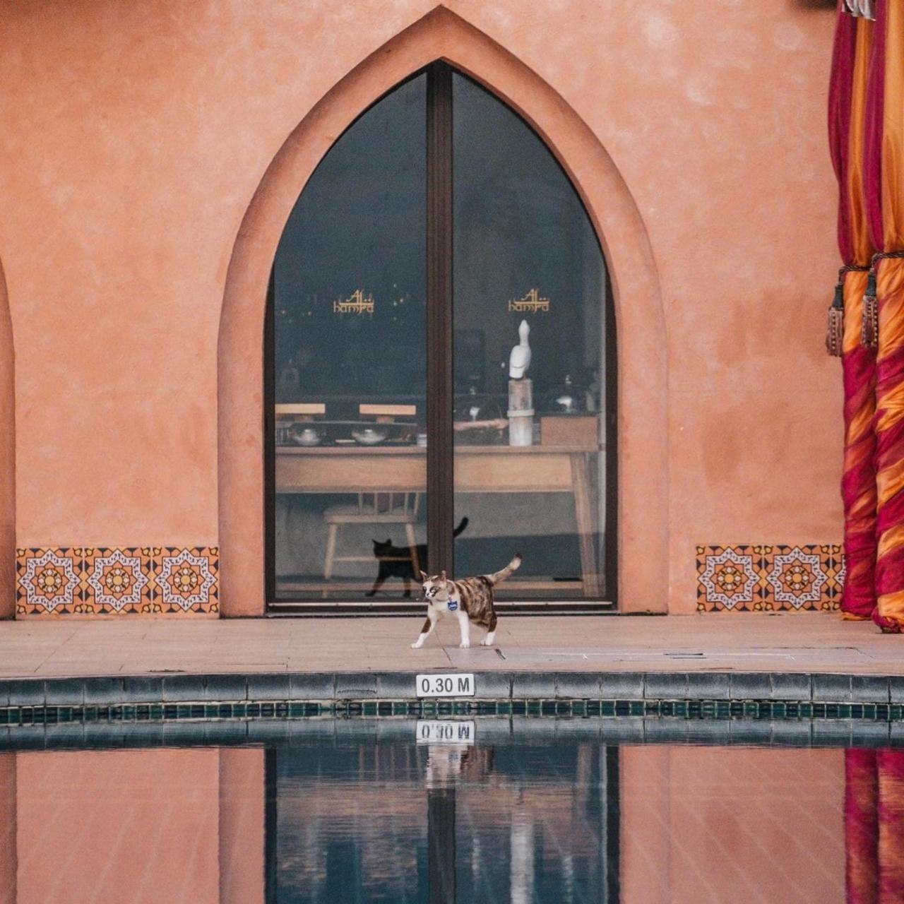 Marrakesh & Resort