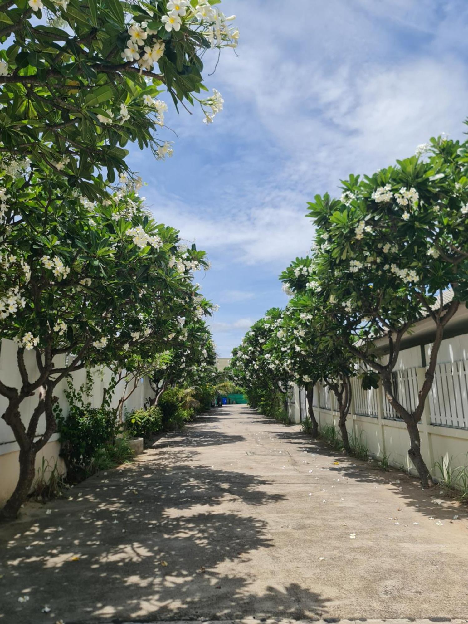 Baan Leelawadee Guest house *