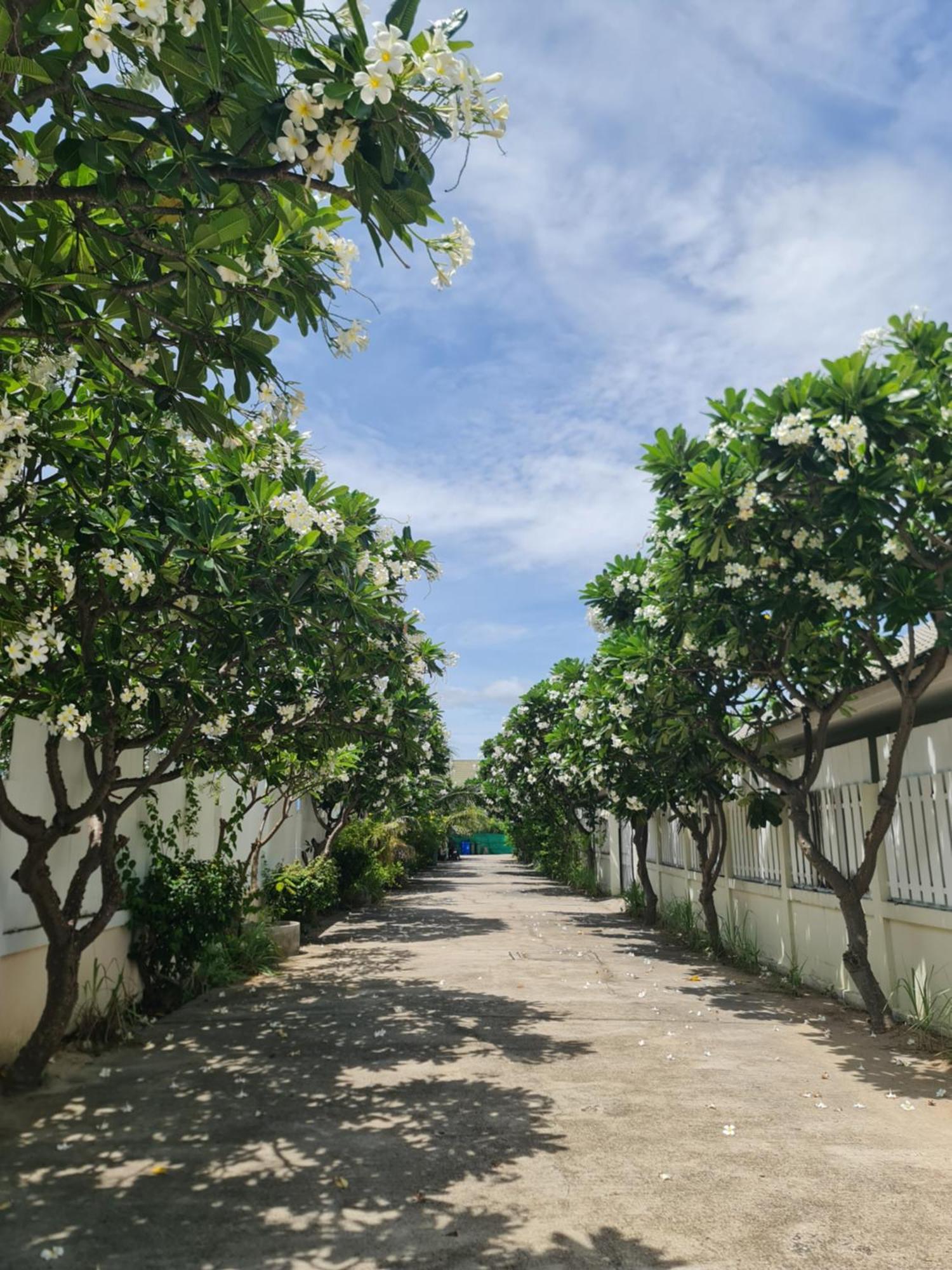 Baan Leelawadee Guest house