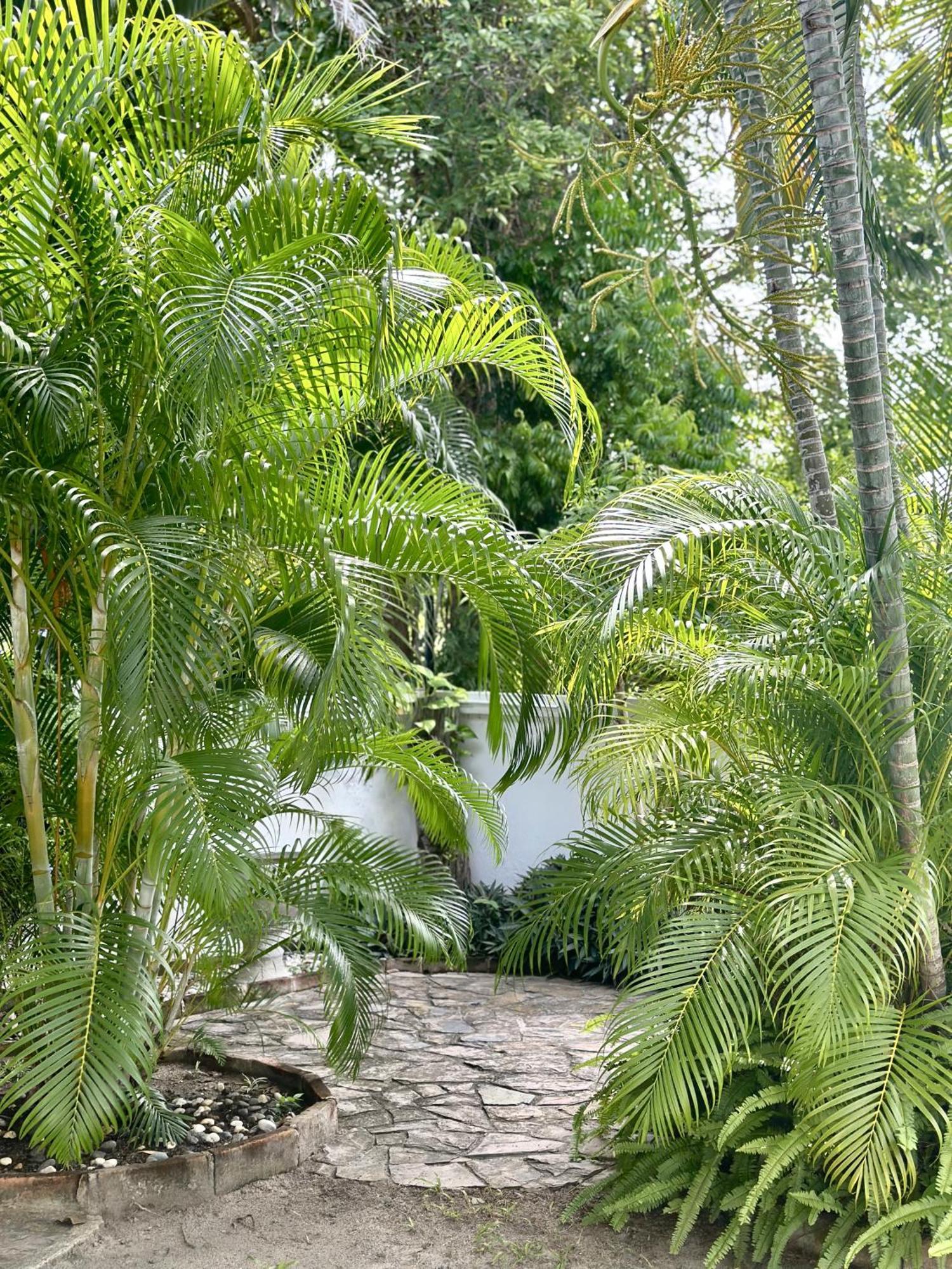 Vila Luxury Private Pool In