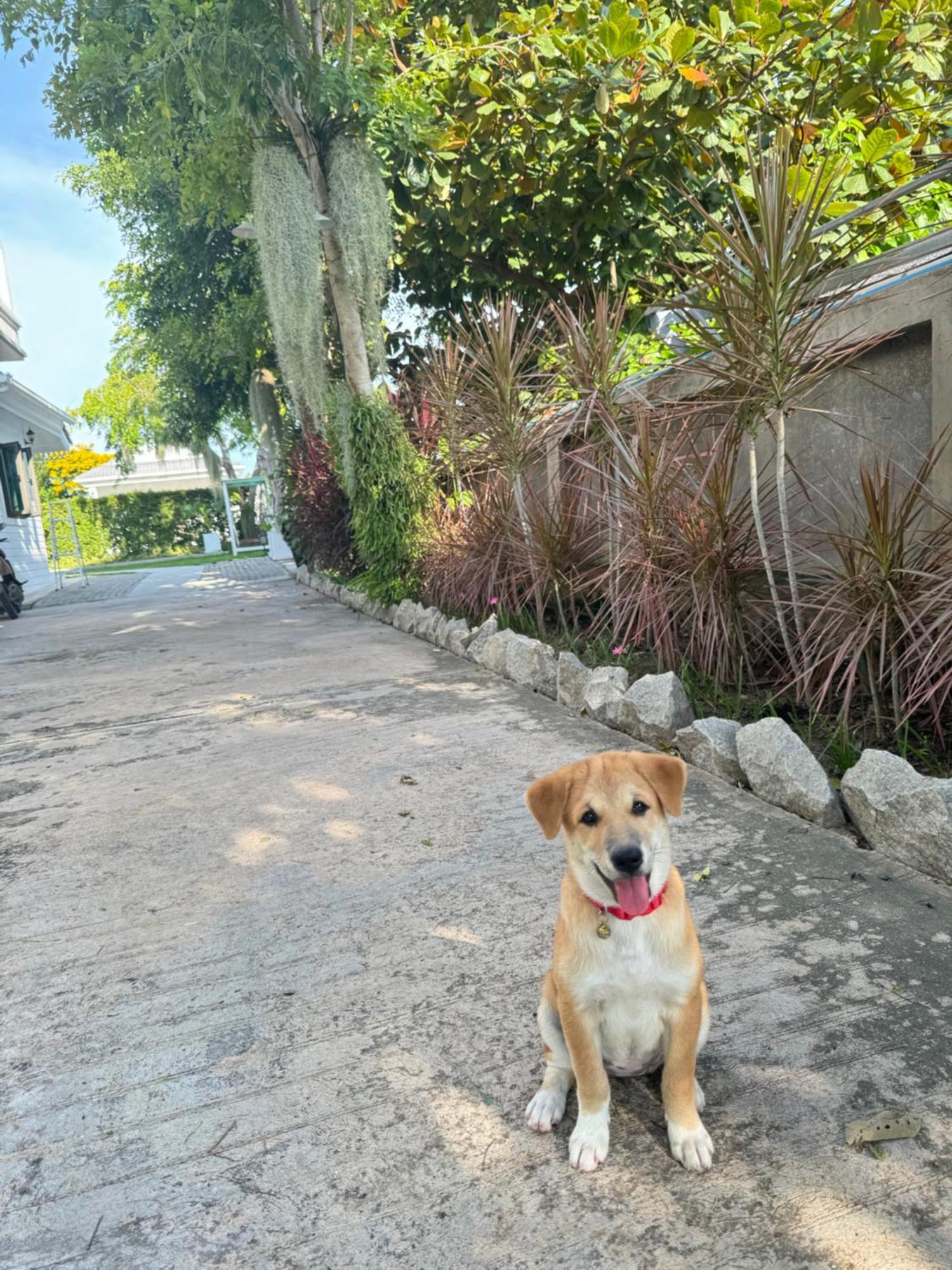 Pailin Pool Villa,huahin Homestay Hua Hin
