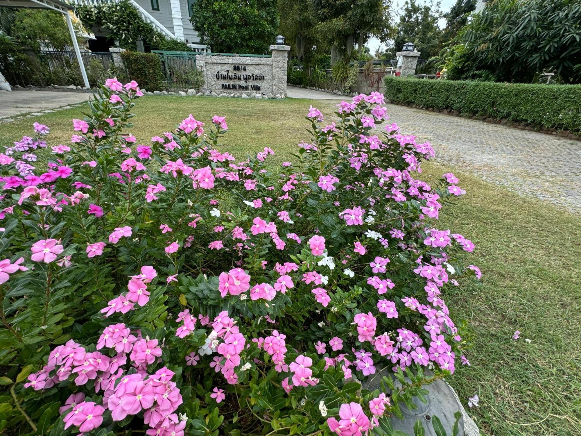 Homestay Pailin Pool Villa,huahin Hua Hin
