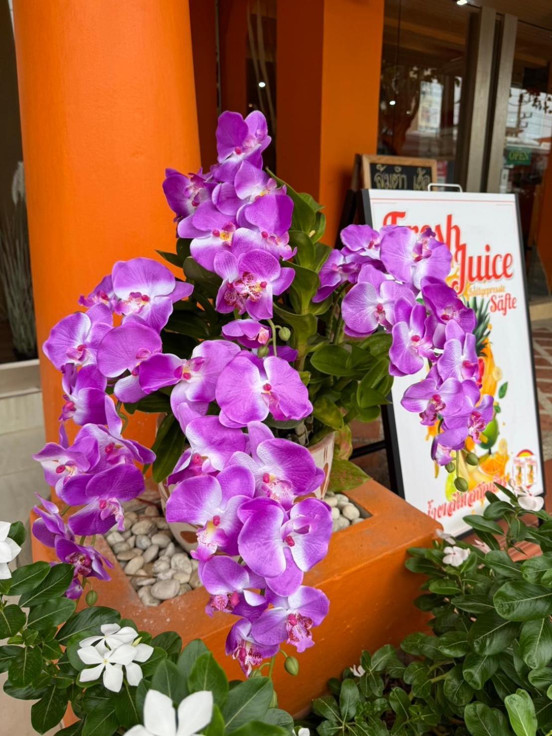 Venice Hua Hin