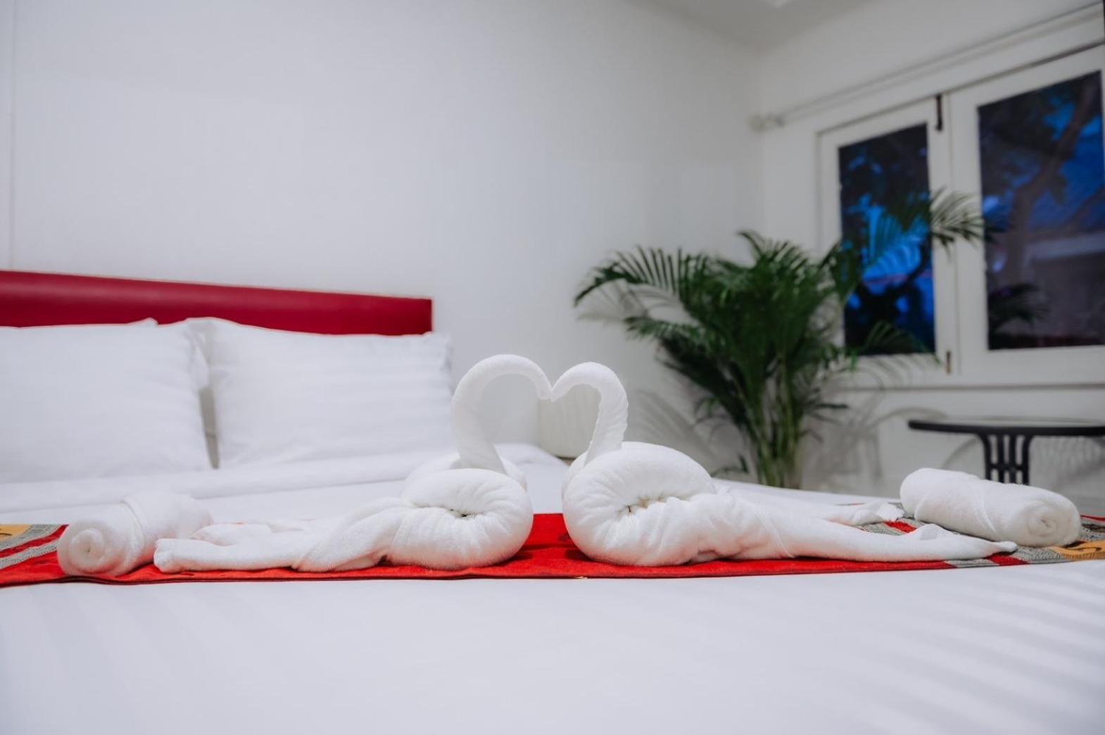 Hotel Amit 51