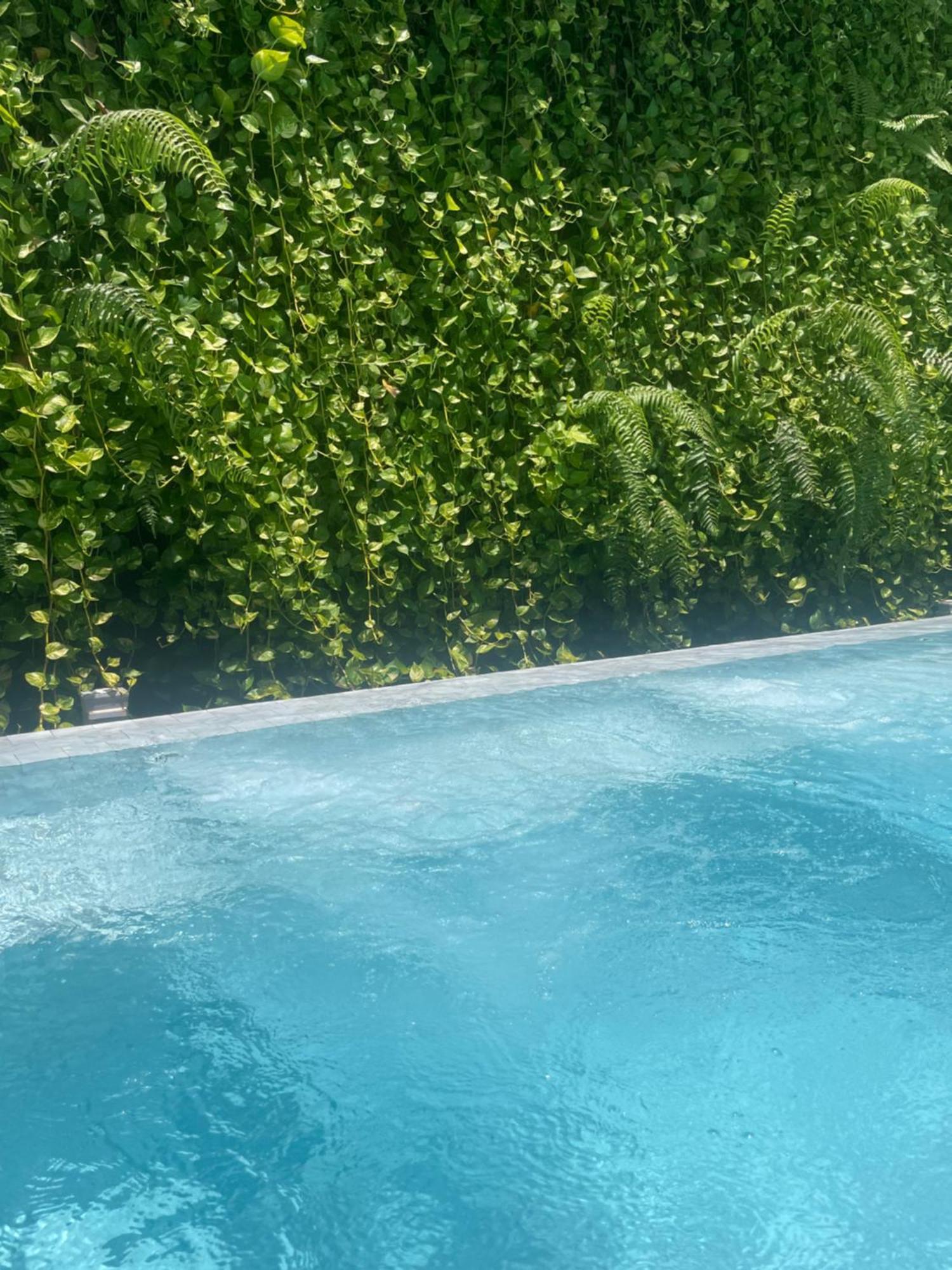 Dusitd2 - Relaxing View *