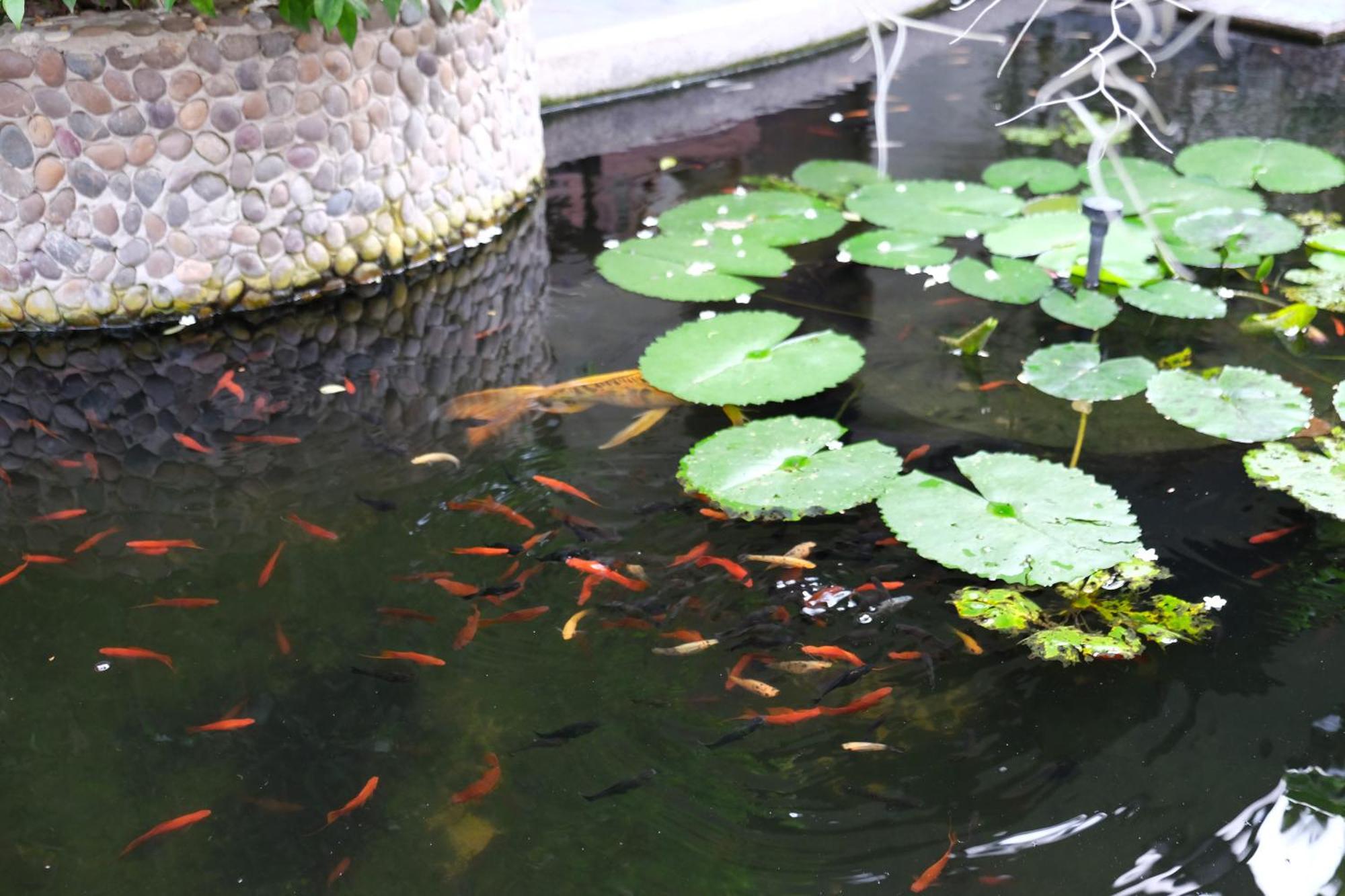 Guest house บ้านณัฐวรรณ *
