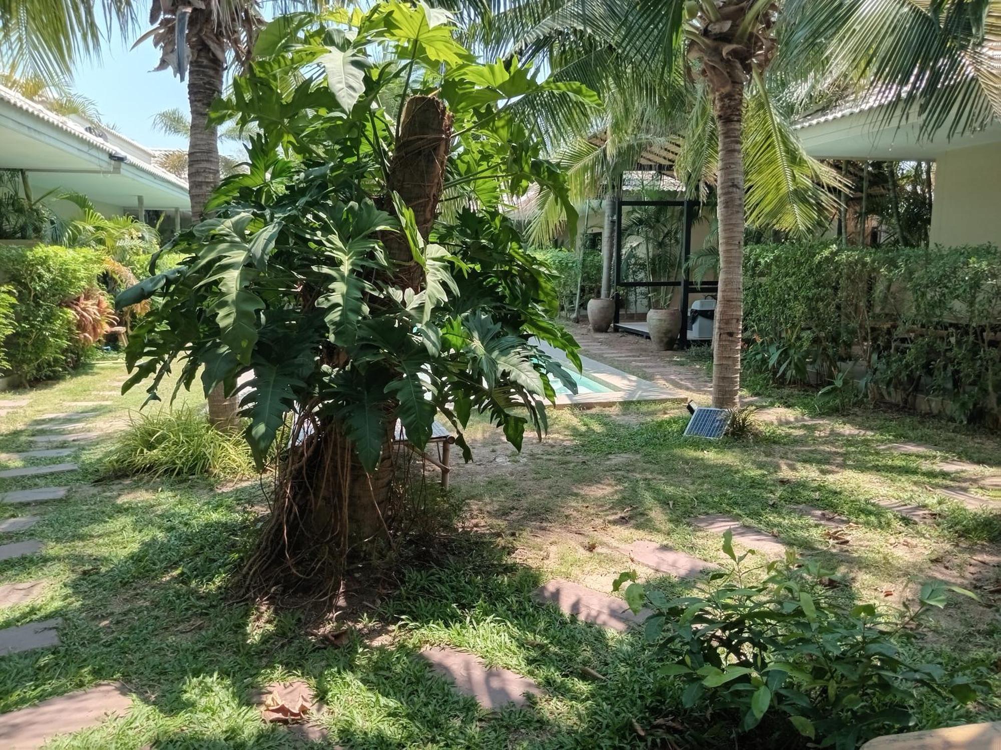 Tropical House​ Resort