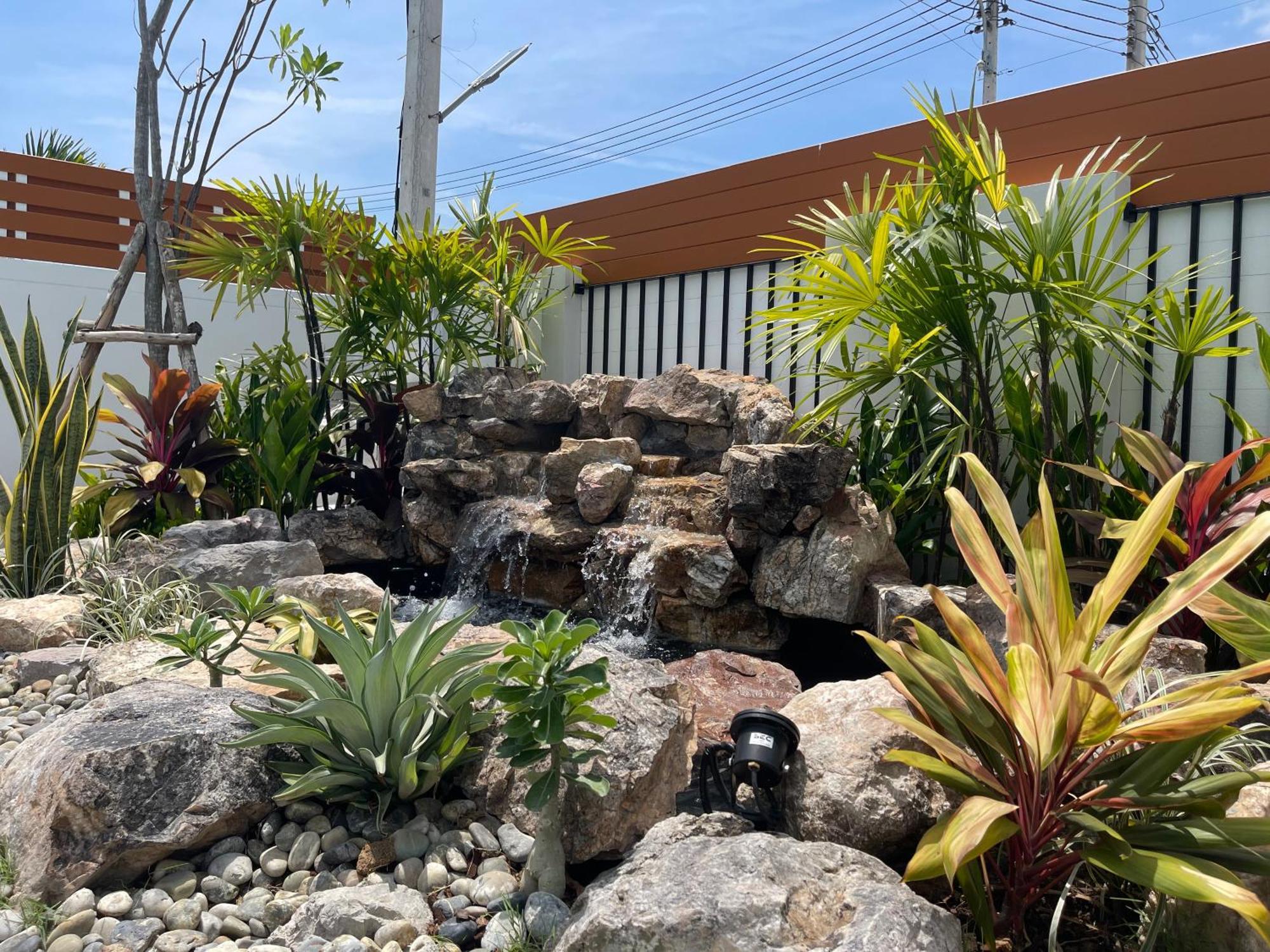 Jungle Zen *