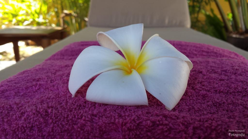 Baan Malinee