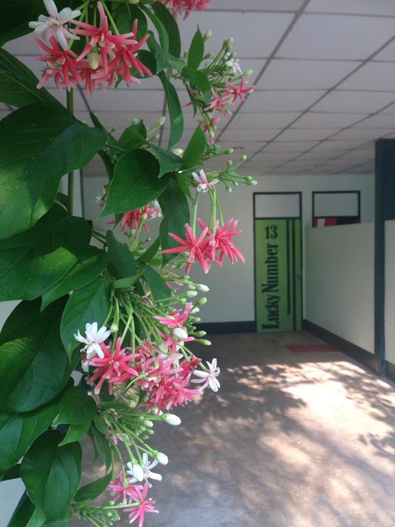 Guest house Toto Hua Hin
