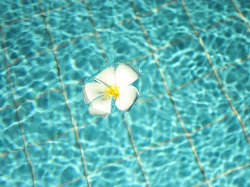 Head Rock Villa
