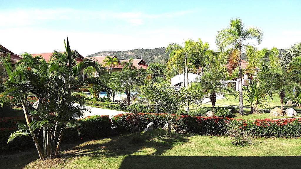Palm Village *