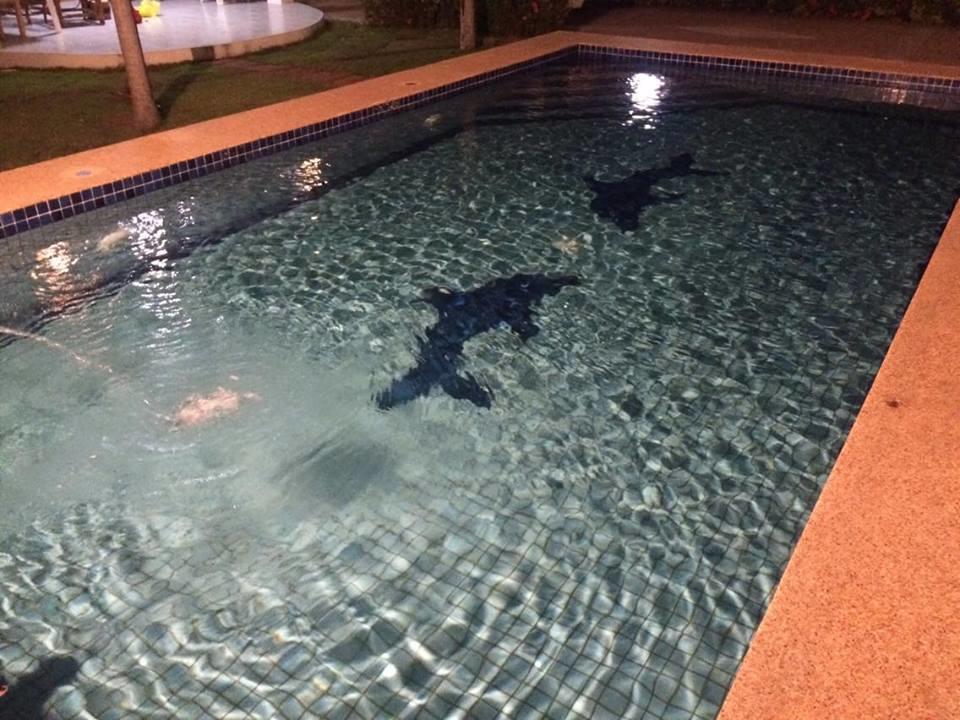 66 Pool Holiday home Hua Hin
