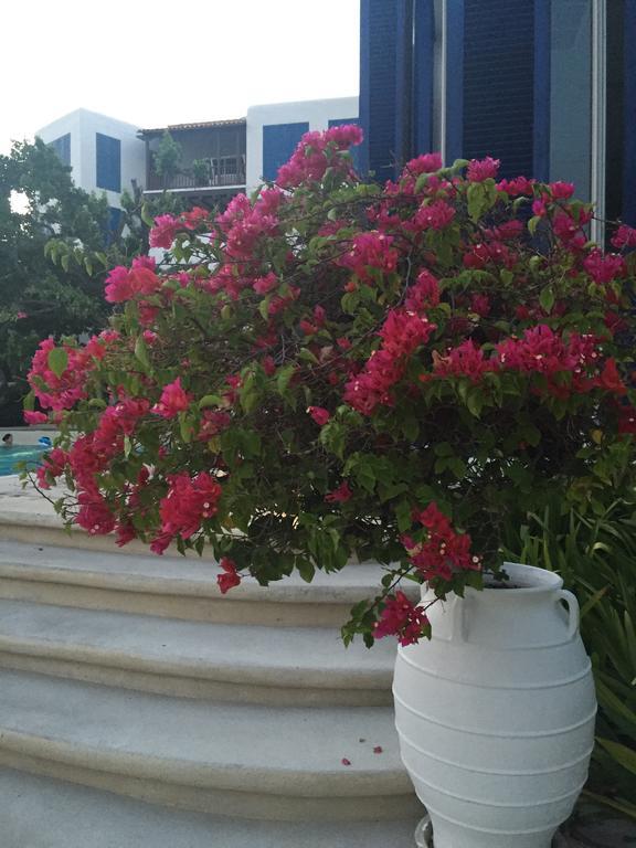 Apartment The Chelona Pool Access By Away
