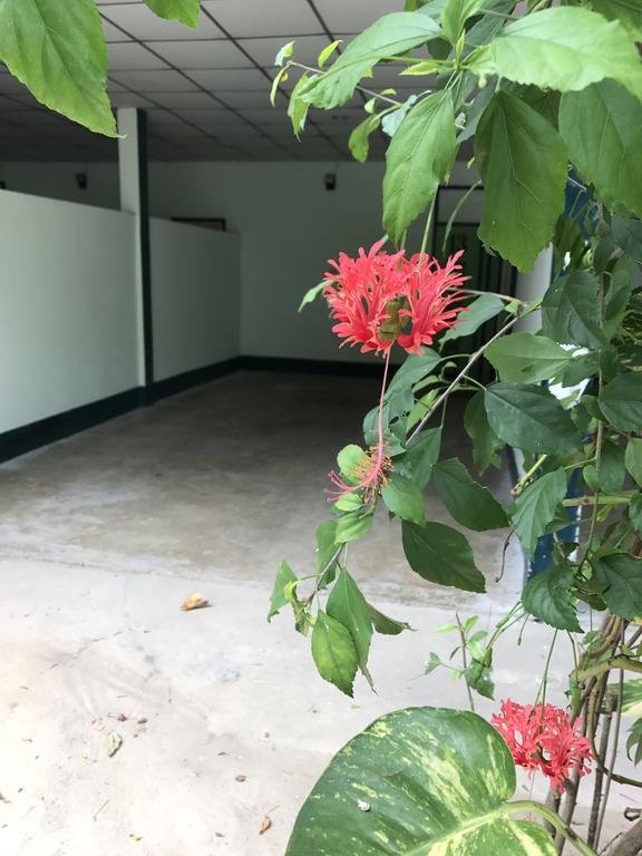 Guest house Toto 2*