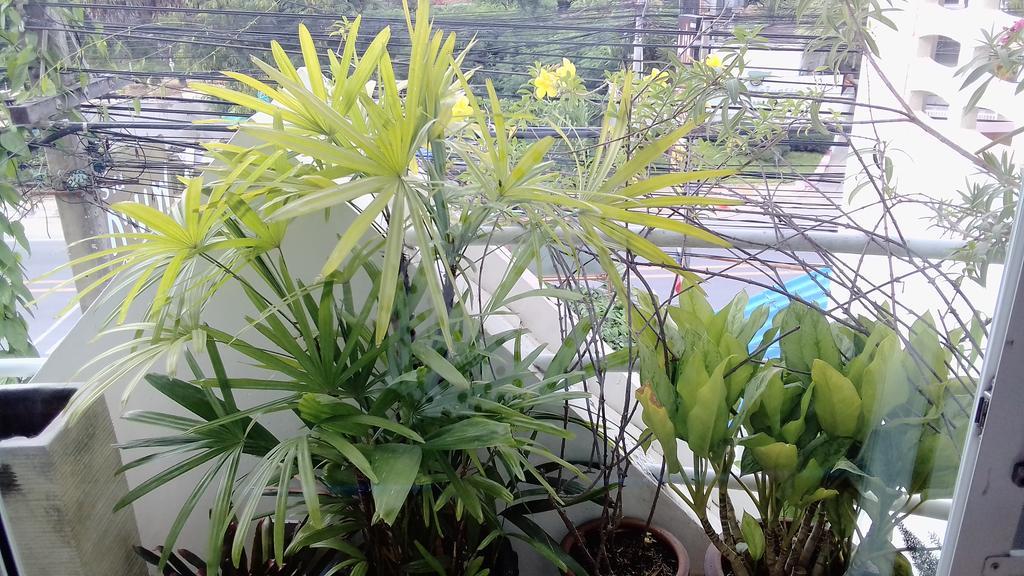 Bed & Breakfast Corner Cafe 2*