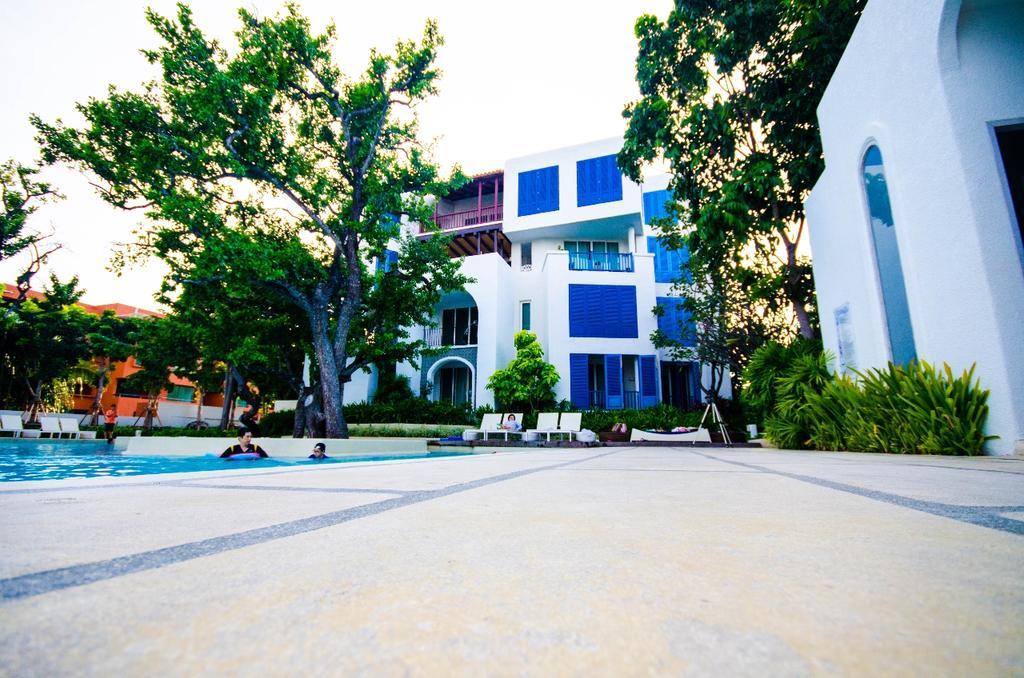 Apartment Chelona 436