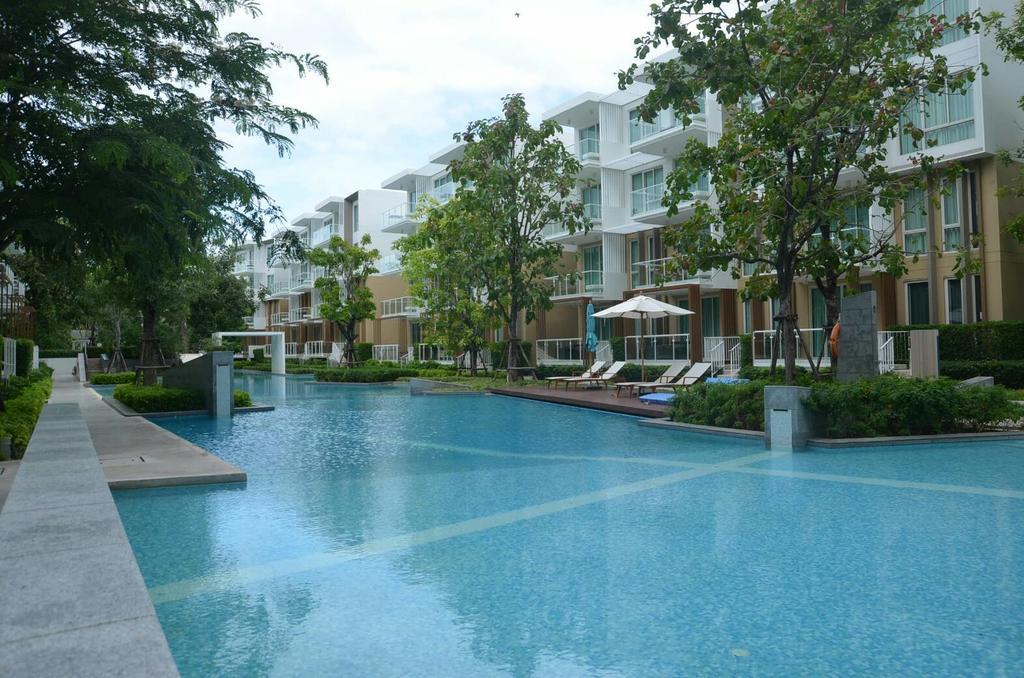 Apartment Luxury Cozy Wanvayla