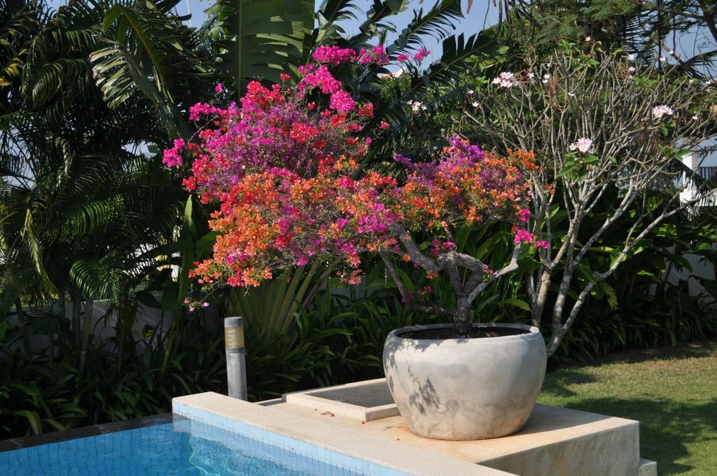 Villa Balinese With Private Pool *
