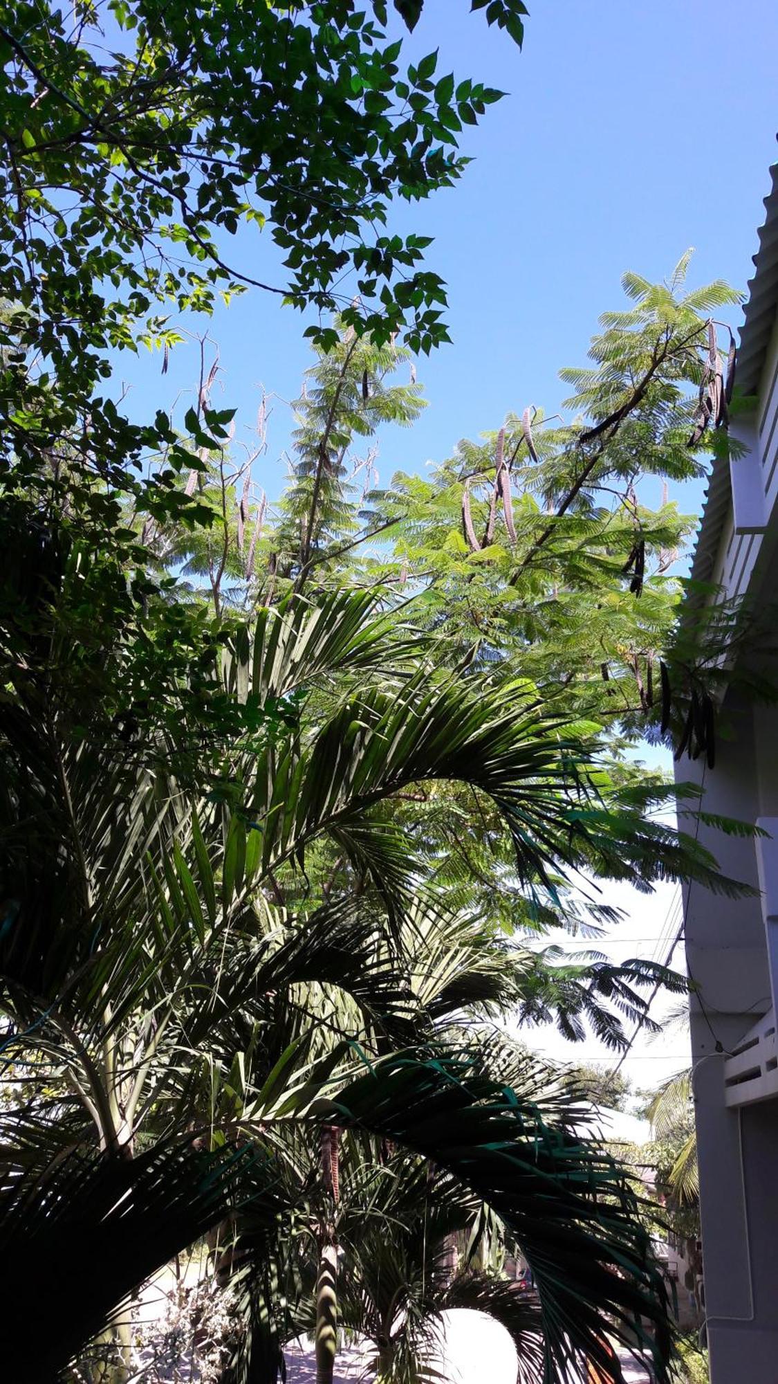 Addera Aparthotel