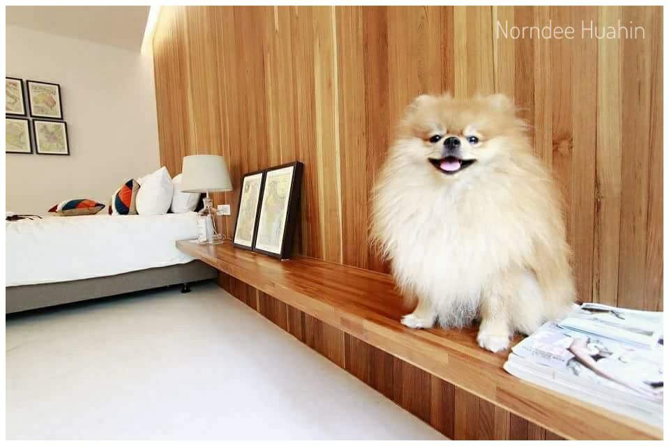 Norndee Hotel