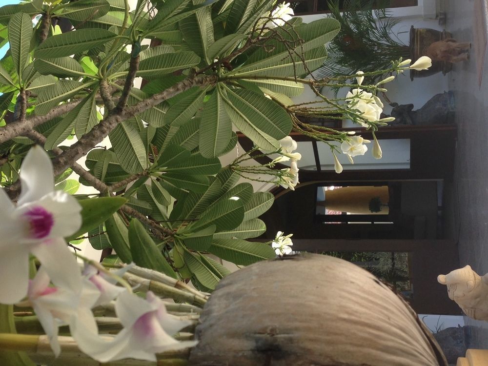 Baan Malinee 3*