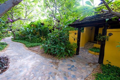 Davinia Hua Hin