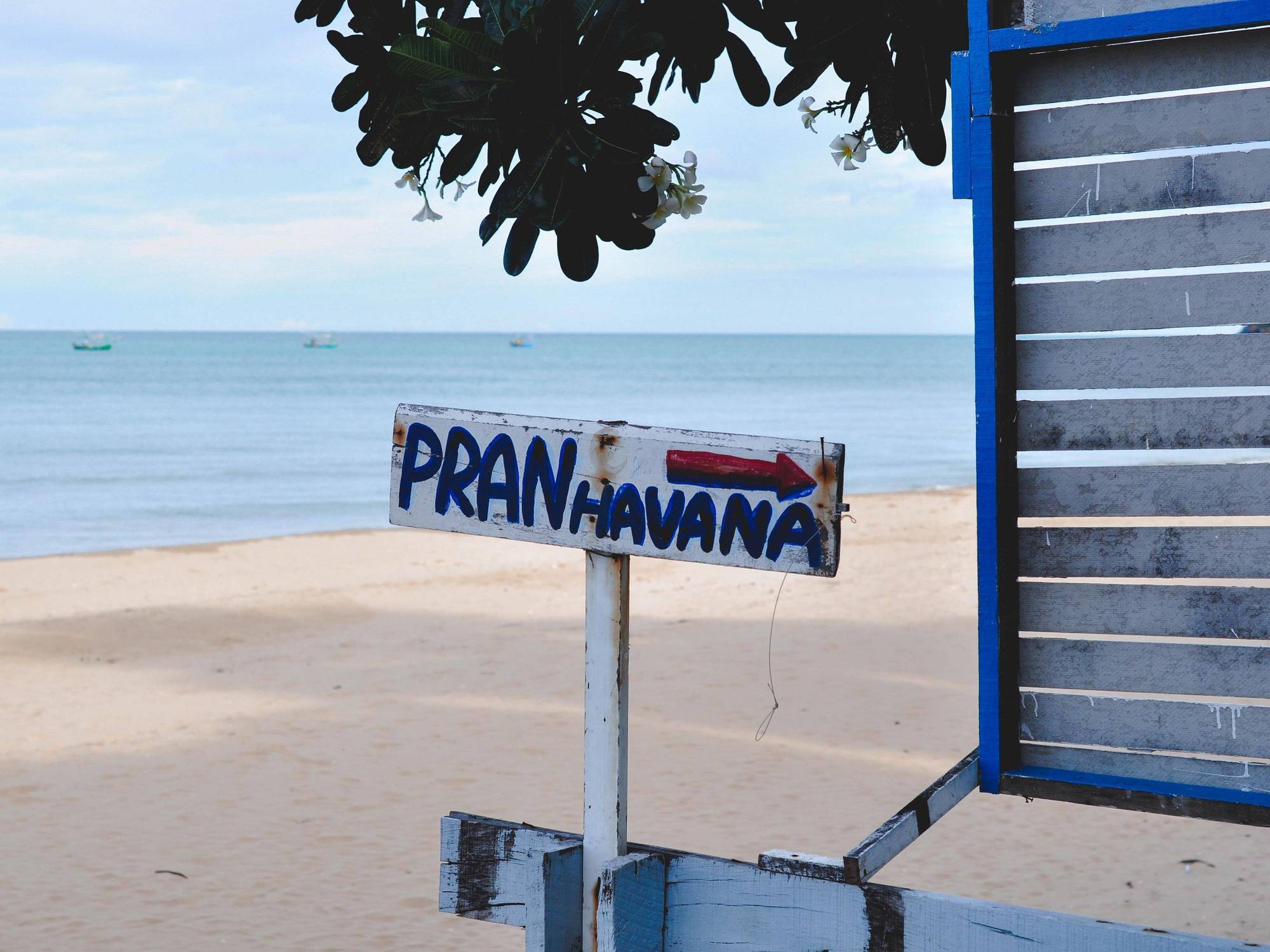 Pran Havana